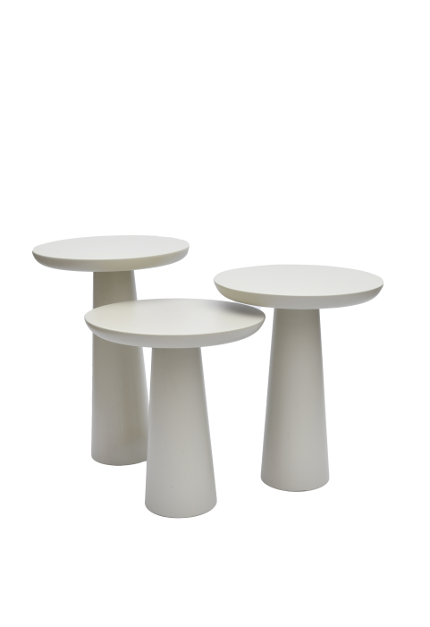 Vizon Mantar Yan Sehpa Vizon Mantar Yan Sehpa