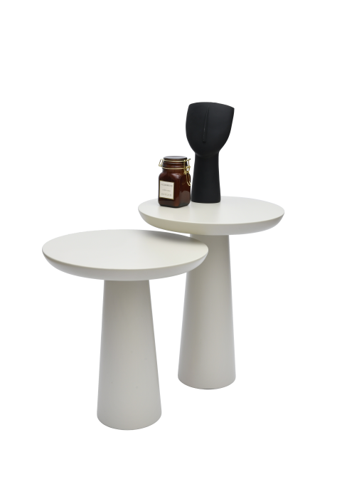 Vizon Mantar Yan Sehpa Vizon Mantar Yan Sehpa